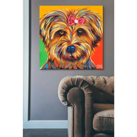 Image of 'Sweet Yorkie I' by Carolee Vitaletti Giclee Canvas Wall Art