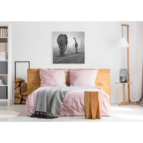 Image of 'Animalia' by Dariusz Klimczak, Giclee Canvas Wall Art