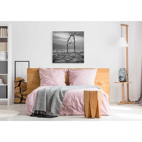 Image of 'Eagle' by Dariusz Klimczak, Giclee Canvas Wall Art