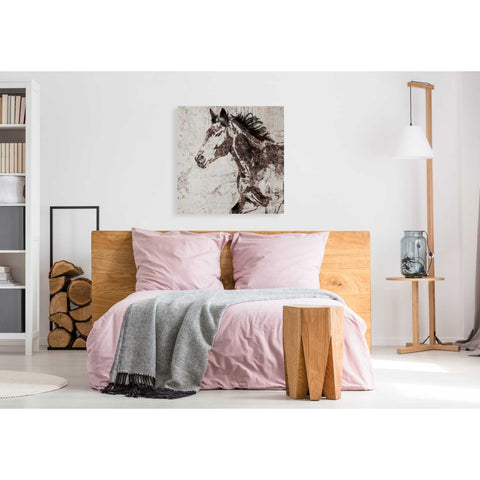 Image of 'Galloping Horse 2' by Irena Orlov, Canvas Wall Art,37 x 37