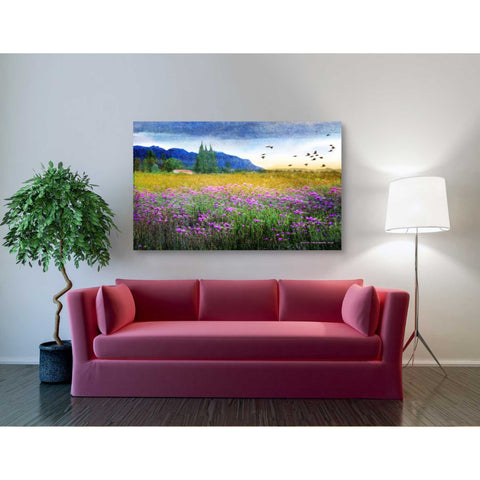 Image of 'Mesa Verde and Knapweed' by Chris Vest, Giclee Canvas Wall Art