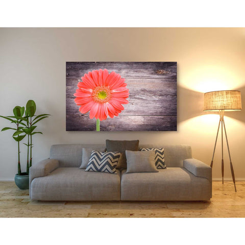 Image of 'Vitamin C' Canvas Wall Art,40 x 60