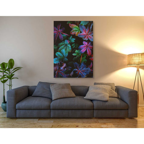 Image of 'Frosty Fall' by Darren White, Canvas Wall Art,40 x 60