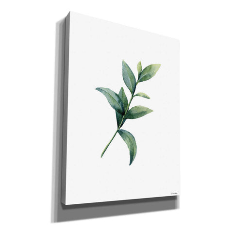 Image of 'Eucalyptus III' by Seven Trees Design, Canvas Wall Art