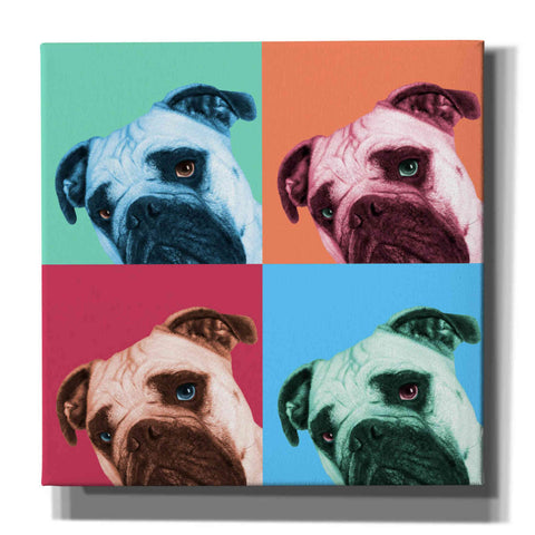 Image of 'Que Pasa Pop' by Jon Bertelli, Canvas Wall Art