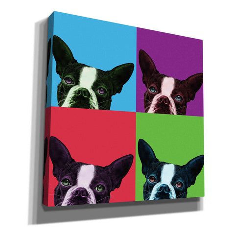 Image of 'Loyalty Pop' by Jon Bertelli, Canvas Wall Art