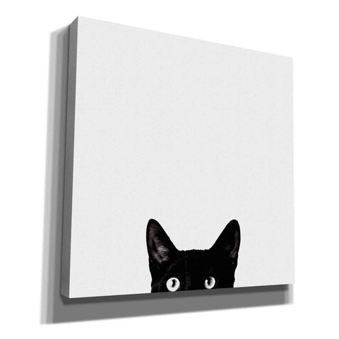Image of 'Curiosity' by Jon Bertelli, Canvas Wall Art