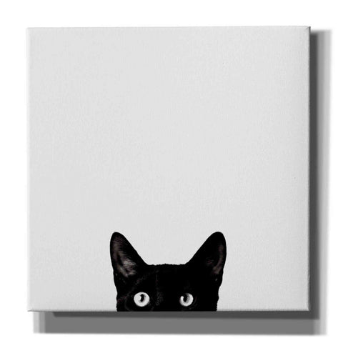 Image of 'Curiosity' by Jon Bertelli, Canvas Wall Art