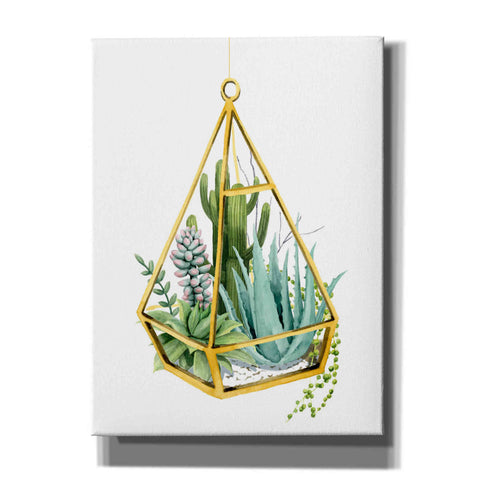 Image of 'Wild Terrarium III' by Grace Popp, Canvas Wall Art