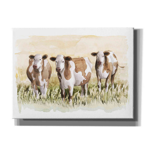 Image of 'Golden Graze II' by Grace Popp, Canvas Wall Art