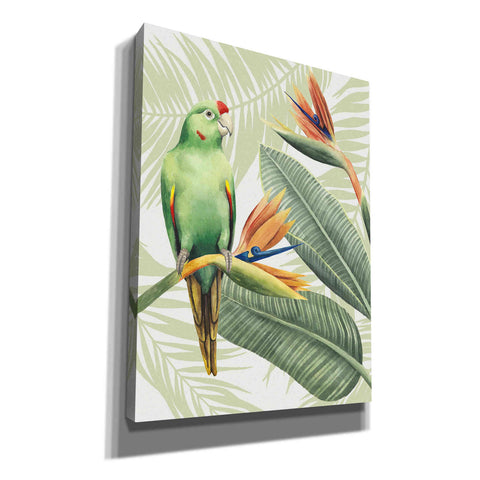 Image of 'Avian Paradise IV' by Grace Popp, Canvas Wall Art