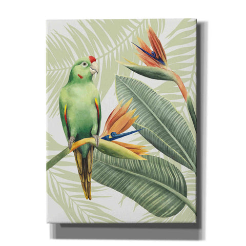 Image of 'Avian Paradise IV' by Grace Popp, Canvas Wall Art