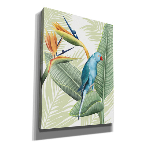 Image of 'Avian Paradise III' by Grace Popp, Canvas Wall Art