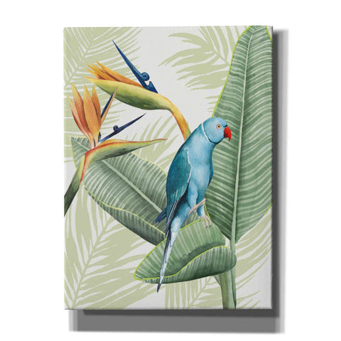 Image of 'Avian Paradise III' by Grace Popp, Canvas Wall Art