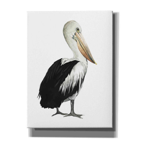 Image of 'Sea Bird IV' by Grace Popp, Canvas Wall Art