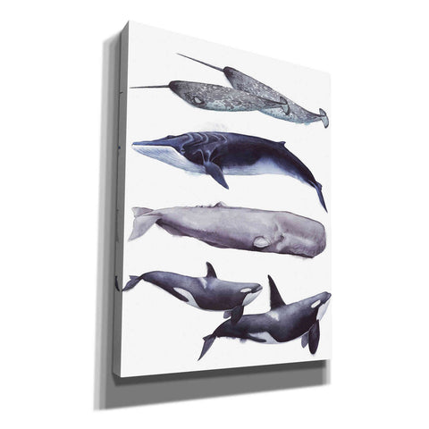 Image of 'Whale Stack II' by Grace Popp, Canvas Wall Art