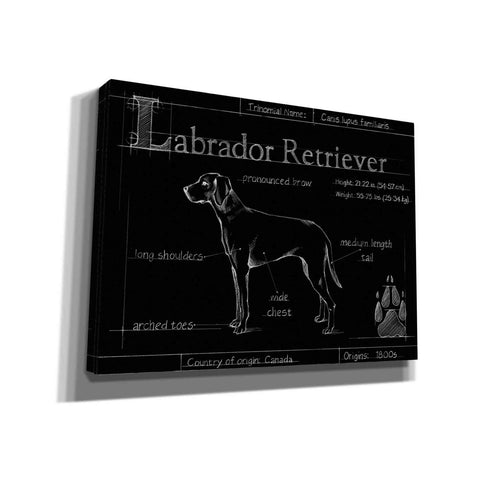 Image of 'Blueprint Labrador Retriever' by Ethan Harper, Canvas Wall Art