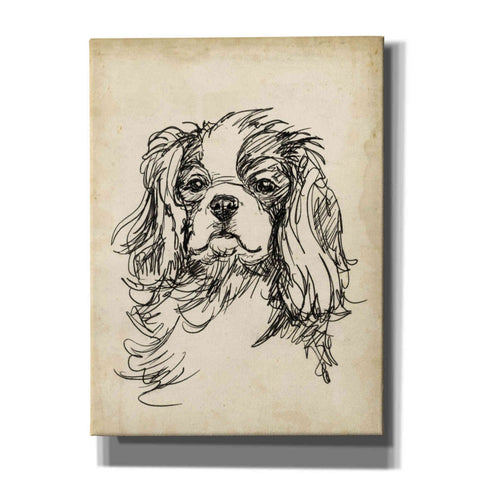 Image of 'Breed Studies II' by Ethan Harper, Canvas Wall Art