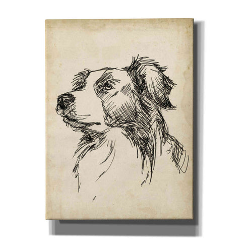Image of 'Breed Studies IX' by Ethan Harper, Canvas Wall Art