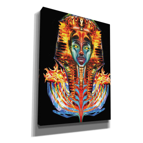 Image of 'Imortal Pharoah' by Michael Stewart, Canvas Wall Art