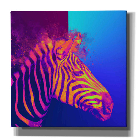 Image of 'Zebra Crush,' Canvas Wall Art
