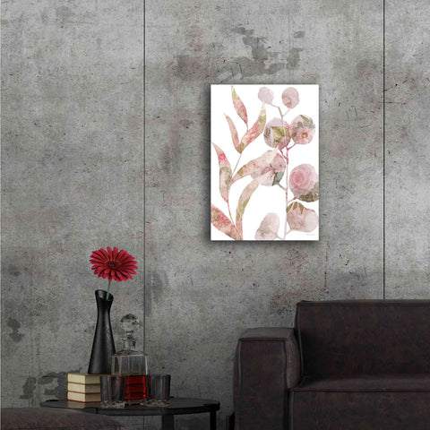 Image of 'Meadow Flora Botanical II' by Bluebird Barn, Canvas Wall Art,18 x 26