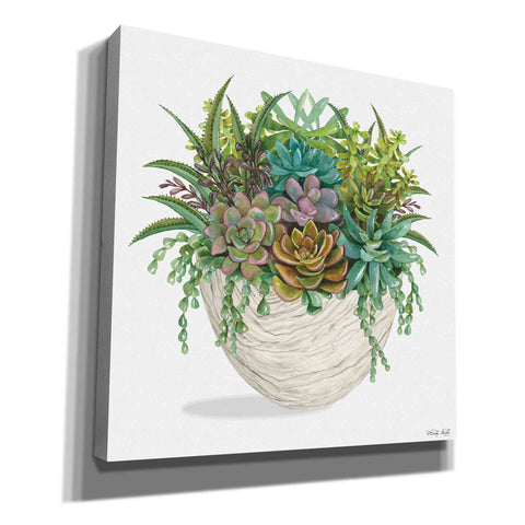 Image of 'White Wood Succulent II' by Cindy Jacobs, Canvas Wall Art