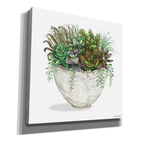 Image of 'White Wood Succulent III' by Cindy Jacobs, Canvas Wall Art