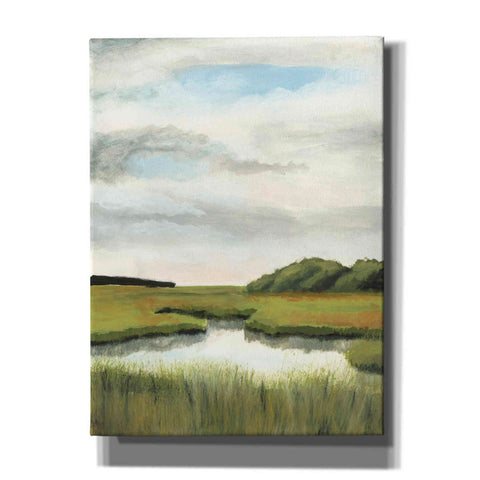 Image of 'Marsh Landscapes II' by Naomi McCavitt, Canvas Wall Art