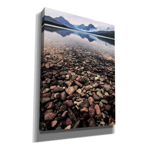 Image of 'Wild I' by PH Burchett, Canvas Wall Art