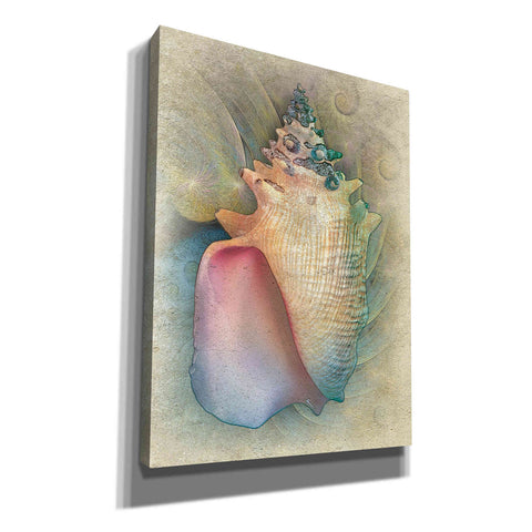 Image of 'Aquatica IV' by Steve Hunziker, Canvas Wall Art