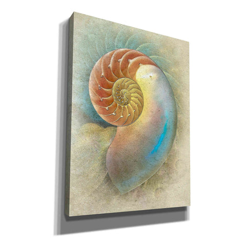 Image of 'Aquatica II' by Steve Hunziker, Canvas Wall Art