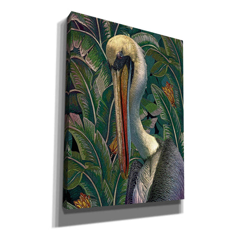 Image of 'Primal Pelicana' by Steve Hunziker, Canvas Wall Art