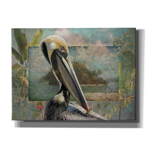 Image of 'Pelican Paradise II' by Steve Hunziker, Canvas Wall Art