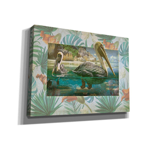 Image of 'Pelican Paradise V' by Steve Hunziker, Canvas Wall Art