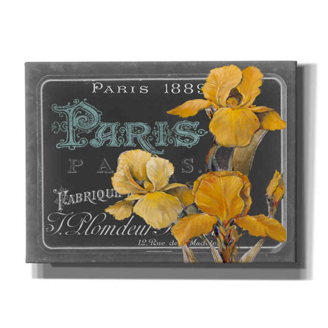 Image of 'Chalkboard Paris Collection A' by Studio W, Canvas Wall Art