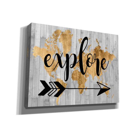 Image of 'Young Explorer V' by Studio W, Canvas Wall Art