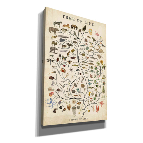 Image of 'Tree of Life' by Studio W, Canvas Wall Art