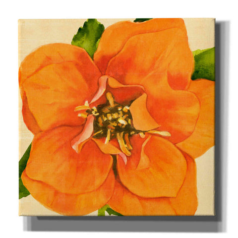 Image of 'Copper Petals I' by Annie Warren, Canvas Wall Art