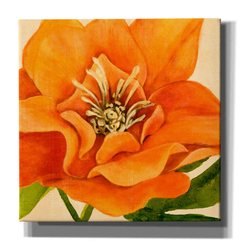 Image of 'Copper Petals II' by Annie Warren, Canvas Wall Art