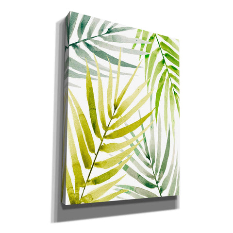 Image of 'Shady Palm II' by Annie Warren, Canvas Wall Art
