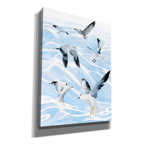 Image of 'Seagull Soiree I' by Annie Warren, Canvas Wall Art