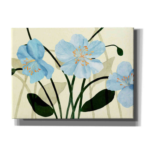 Image of 'Blue Poppies I' by Annie Warren, Canvas Wall Art