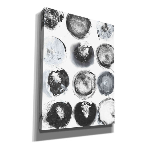 Image of 'BandW Imprint II' by Jodi Fuchs, Canvas Wall Art