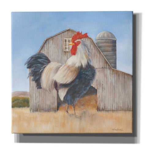 Image of 'Country Rooster' by Pam Britton, Canvas Wall Art
