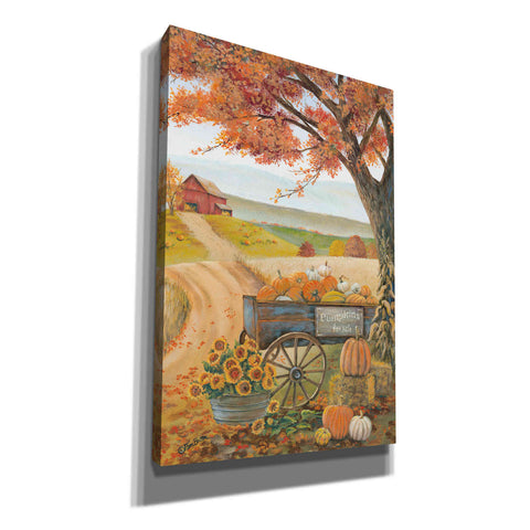 Image of 'Harvest Pumpkins' by Pam Britton, Canvas Wall Art