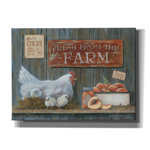 Image of 'Fresh from the Farm' by Pam Britton, Canvas Wall Art