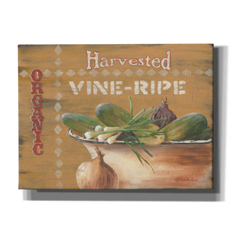Image of 'Vine Ripe' by Pam Britton, Canvas Wall Art