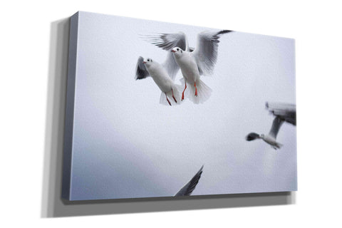 Image of 'Bird Hug' by Epic Portfolio, Giclee Canvas Wall Art