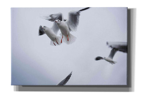 Image of 'Bird Hug' by Epic Portfolio, Giclee Canvas Wall Art